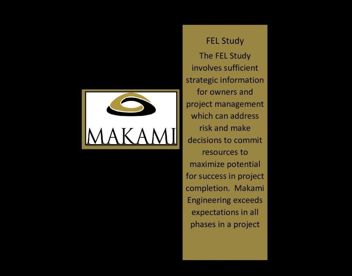 FEL Study 1 e1678324115604